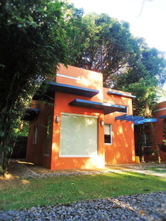 טנאי Momarco Forest Cove מראה חיצוני תמונה