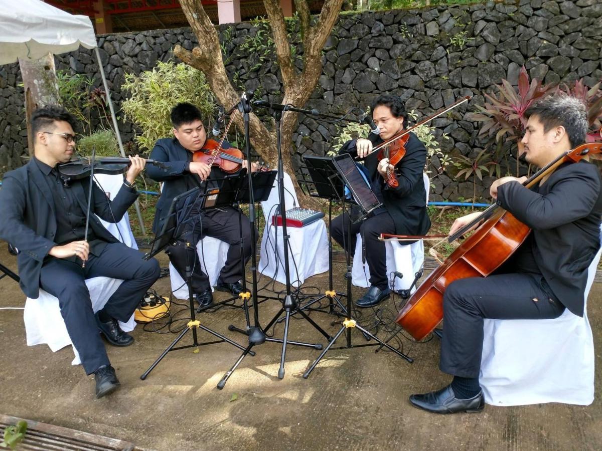טנאי Momarco Forest Cove מראה חיצוני תמונה