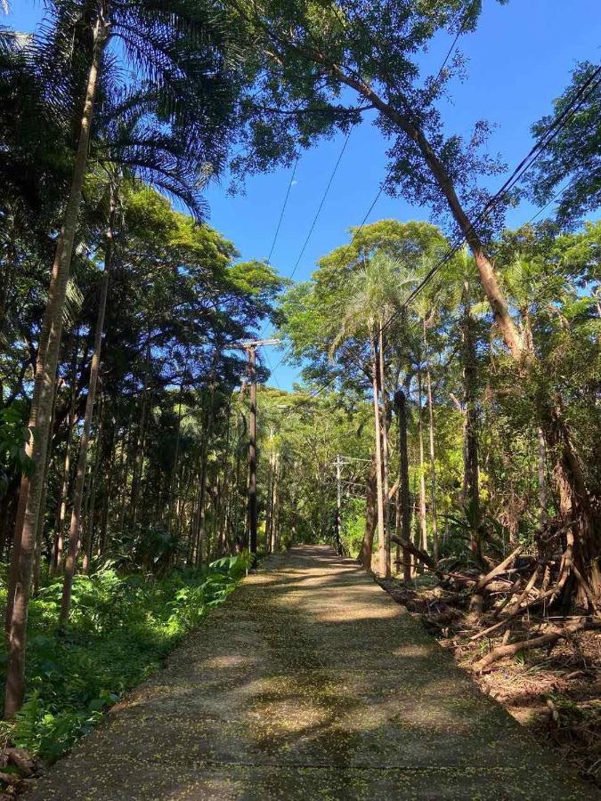 טנאי Momarco Forest Cove מראה חיצוני תמונה