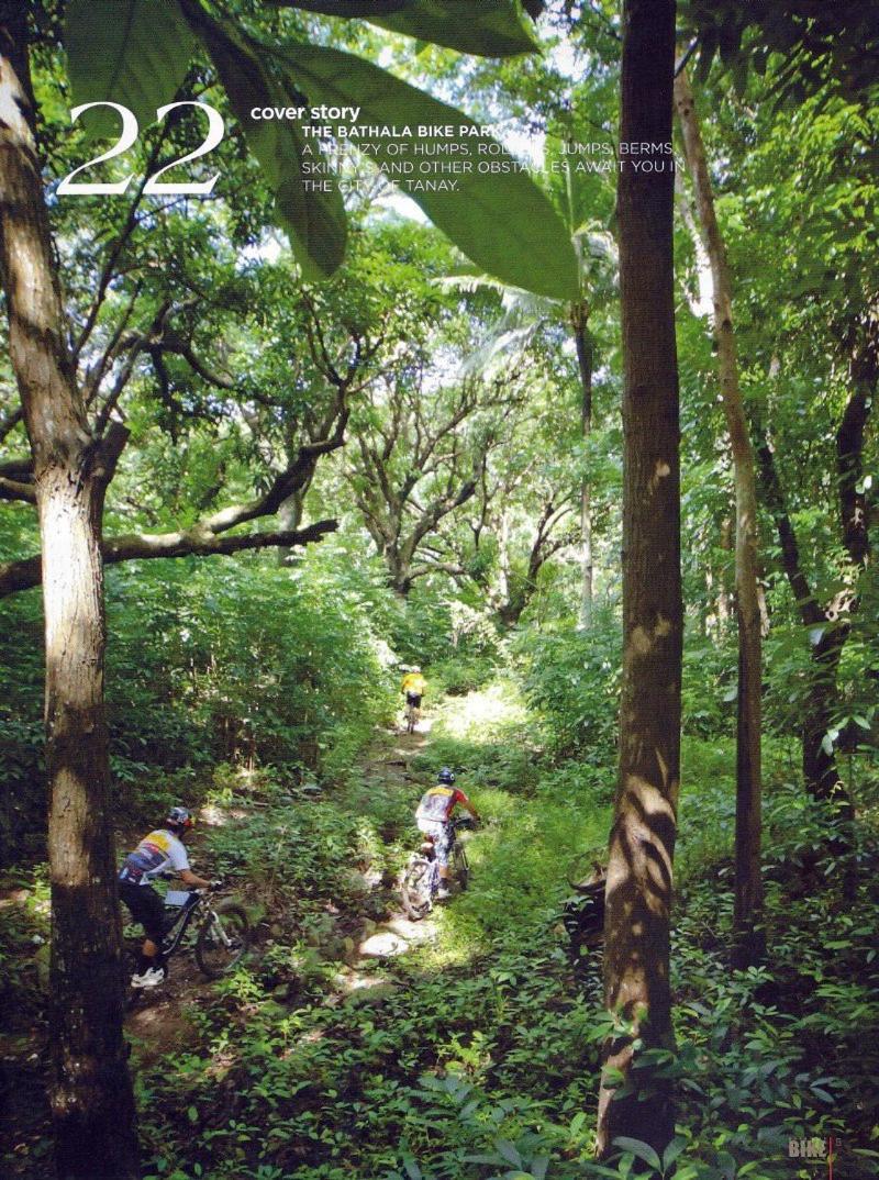 טנאי Momarco Forest Cove מראה חיצוני תמונה